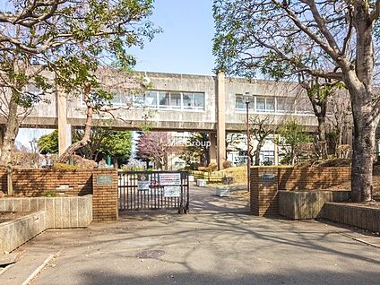 相模原市立上溝中学校 1100m(14分)