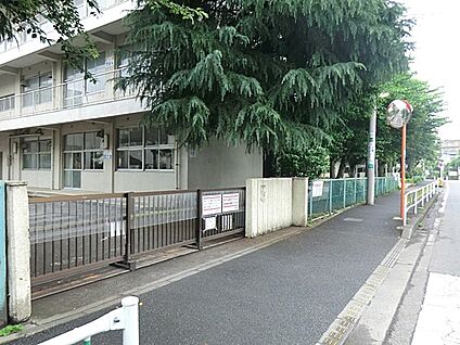 相模原市立桜台小学校 590m(8分)
