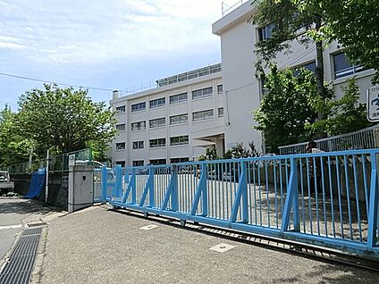 逗子市立沼間小学校 2200m(28分)