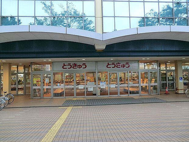 東急ストア湘南とうきゅう(約700m・徒歩9分)