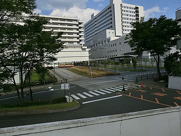 東海大学医学部付属病院(約1,300m・徒歩17分)