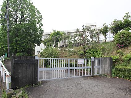 相模原市立作の口小学校 1040m(13分)