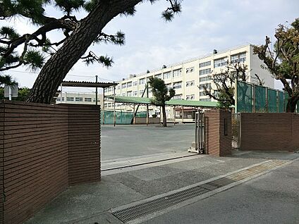 横浜市立希望ヶ丘小学校 700m(9分)