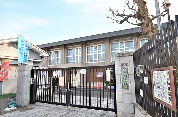 京都市立桂小学校（約442m）