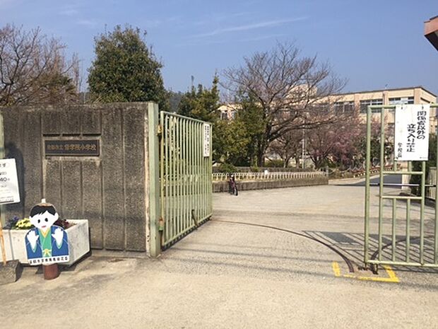 修学院小学校（約1,116m）