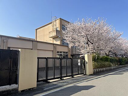京都市立西京極西小学校 約371m(徒歩5分)
