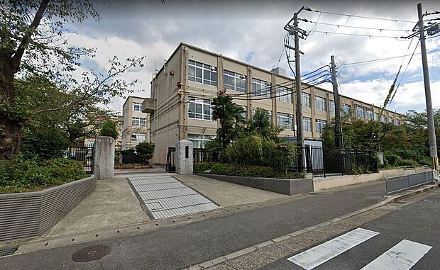 蜂ヶ岡中学校