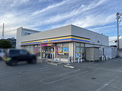 ミニストップ 浜松入野町店 350ｍ(徒歩5分)