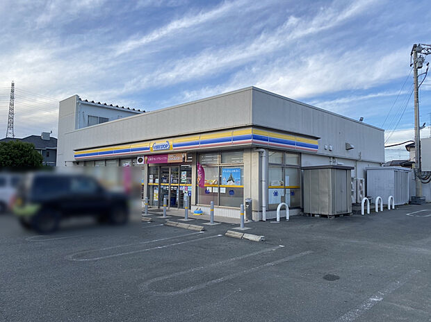 ミニストップ 浜松入野町店（約350m）