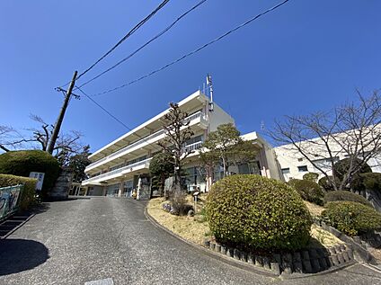 浜松市立金指小学校 1041ｍ(徒歩14分)