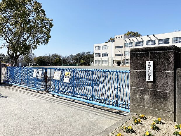 豊橋市立杉山小学校（約800m）