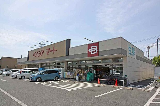 ベイシアマート前橋六供店（約650m）