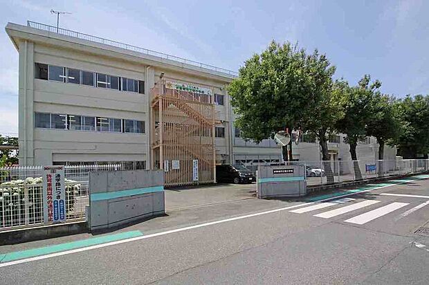 境小学校（約700m）