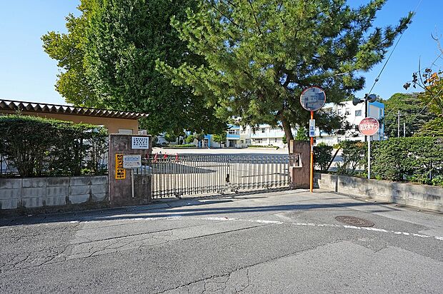 館林市立第八小学校(約700m)