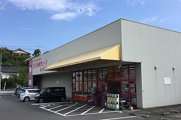 クスリ岩崎チェーン徳山秋月店(約755m)
