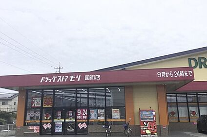 ドラッグストアモリ国衙店 537(7)