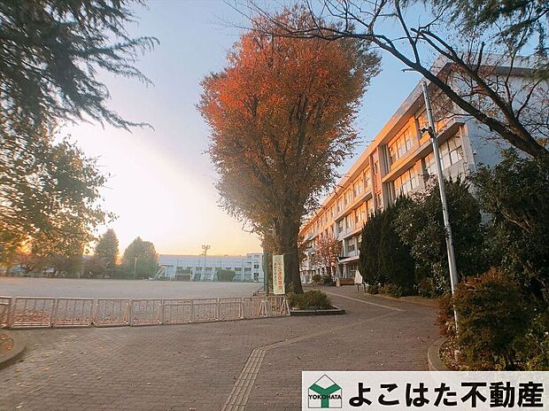 府中市立府中第二中学校（約720m）