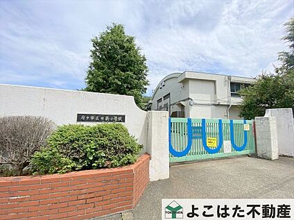 府中市立日新小学校 510m