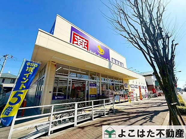ウェルパーク小金井東町店(約590m)