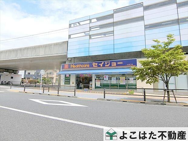 ヘルスケアセイジョー矢野口店(約1,030m)