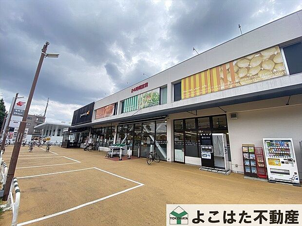 グルメシティ神代店(約140m)