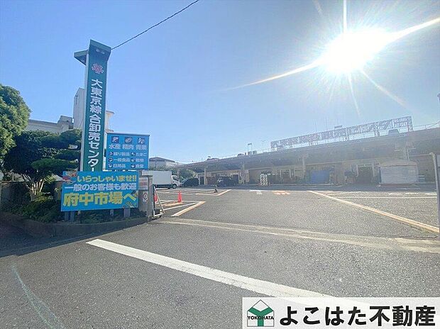 A-プライス府中市場店（約540m）