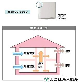 構造