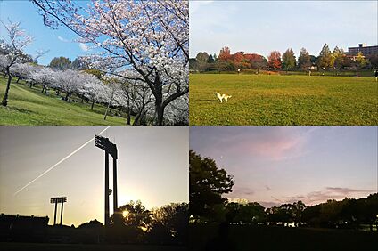 春日公園 2700ｍ(車7分)