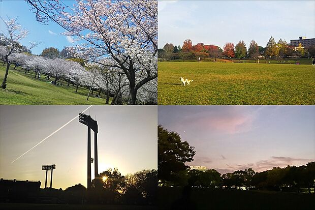 春日公園(約2,700m)