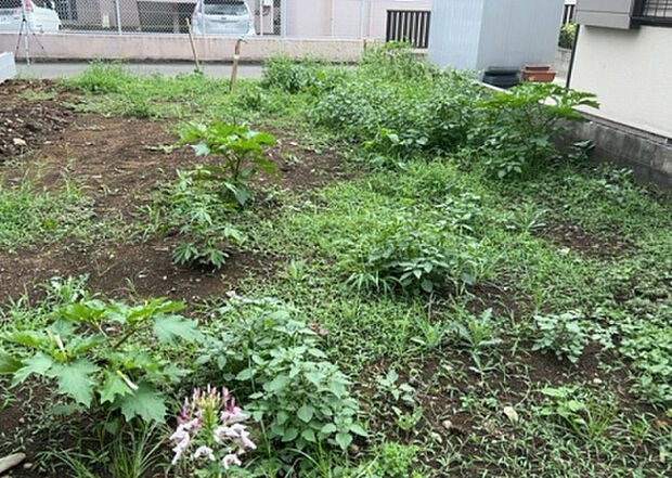 桜や紅葉の名所に出かける人は多いと思いますが、家にいながら季節の移ろいを感じる生活を送りませんか?リビングや窓から見える景色が生活を彩るワンポイントに!現地から見える景色を堪能してみては如何でしょう。