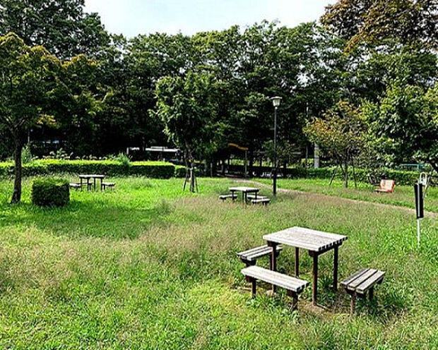 子の澤公園(約738m)