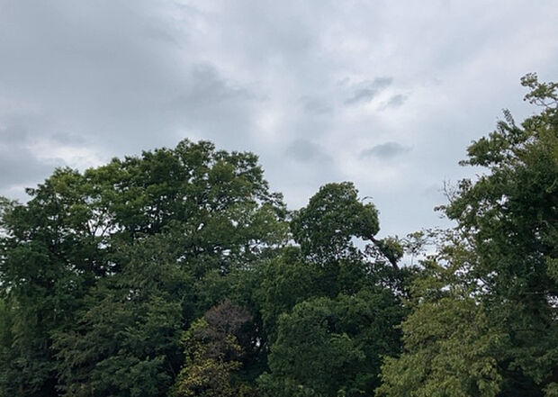 【物件からの展望】眺望を気にして物件を探す場合、前面に建物が建っていないか現地で確認しましょう！前面に建物があると景色はもちろん、日当たりや風通しにも影響が出てきます。住んだ時のことを想像しながら現地見学をしましょう。