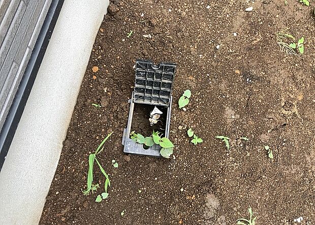 【外水栓】外水栓は、庭の水やりや洗車など、様々な用途に使える便利な設備です。ホースがしっかりと接続できるもの、水圧が安定しているものなど、使い勝手の良いものを選びましょう。また、凍結防止機能が付いているものなら、冬場でも安心して使用できます。