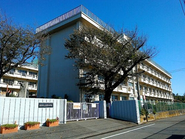 栗原中学校（約593m）