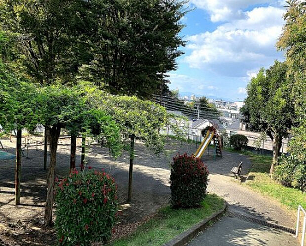 西谷戸公園（約231m）