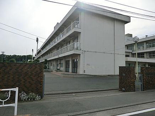 横山小学校（約243m）