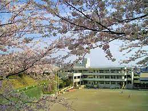 中原小学校（約778m）
