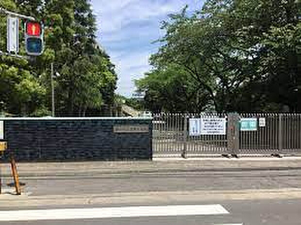 愛甲小学校（約404m）