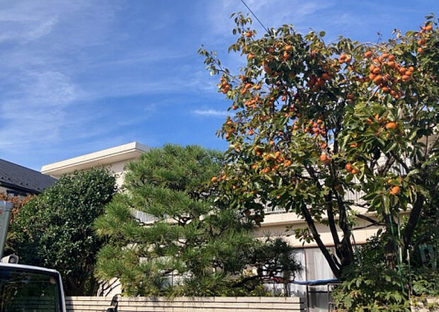 【物件からの展望_3】田園風景が味わえる土地に住みたい！海や山の見える自然豊かな土地に住みたい！などご要望に併せて当社営業がご提案させて頂きます。当社が抱えている数ある物件の中からお客様が納得する1件を一緒に探しましょう！