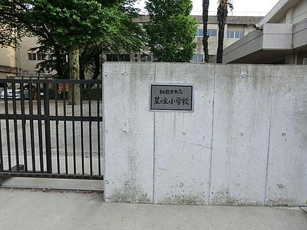 星が丘小学校(約388m)