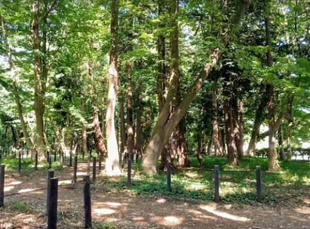 古淵鵜野森公園(約2,174m)