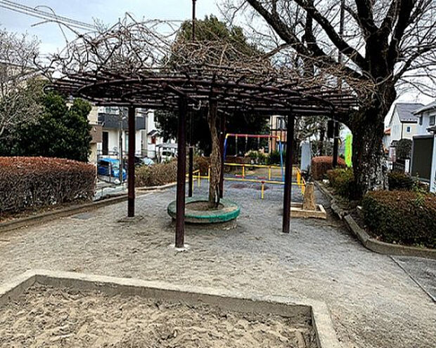 猿額公園(約313m)