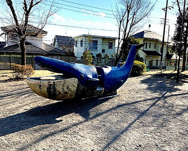 海公園（約157m）