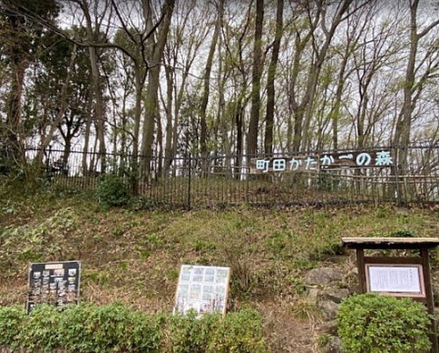 町田かたかごの森（約449m）