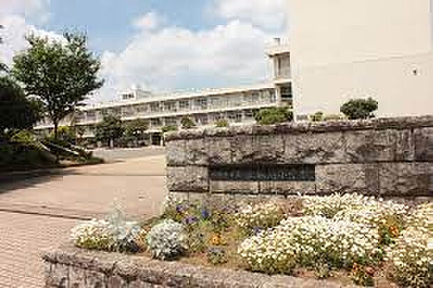 上鶴間小学校（約608m）