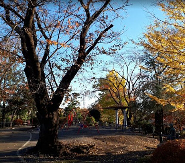 座間公園（約408m）