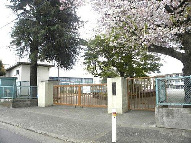 忠生第三小学校(約890m)