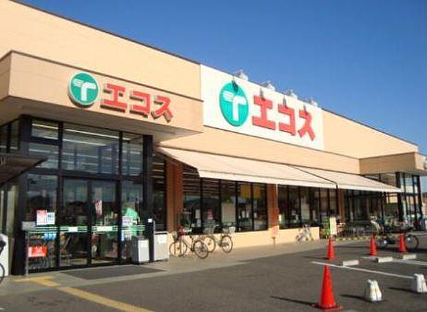 エコス川口店(約520m)