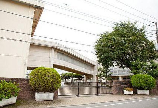 麻溝台中学校(約317m)