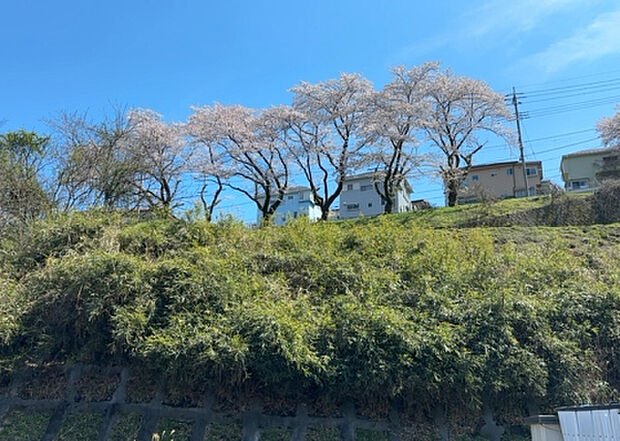 【物件からの展望_2】眺望を気にして物件を探す場合、前面に建物が建っていないか現地で確認しましょう！前面に建物があると景色はもちろん、日当たりや風通しにも影響が出てきます。住んだ時のことを想像しながら現地見学をしましょう。